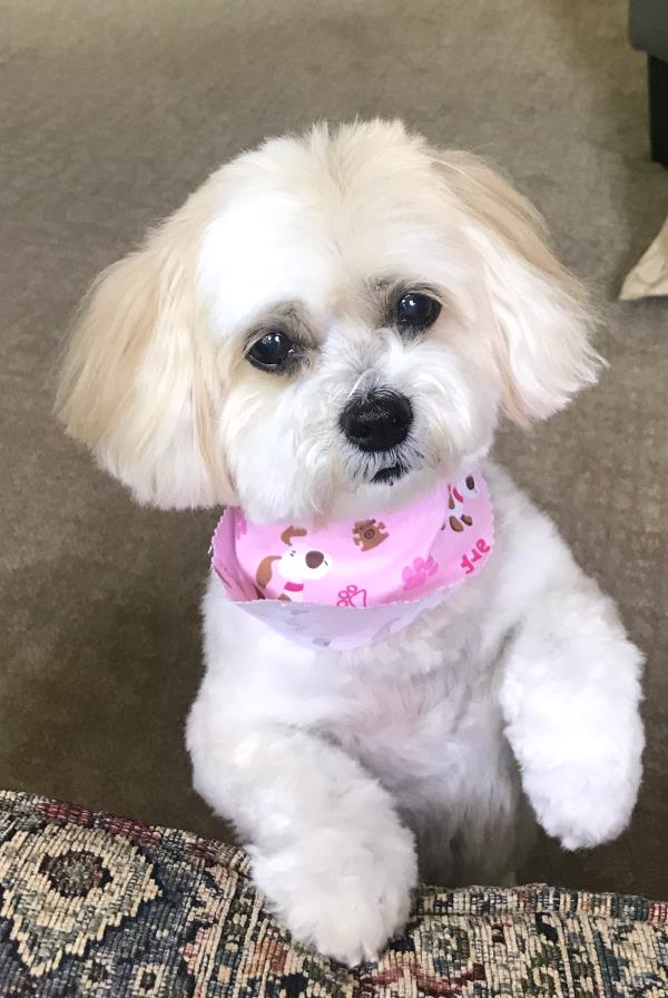 /Images/uploads/Congregation Beth Emeth/bethemeth/entries/17642thumb.jpg